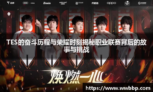 TES的奋斗历程与荣耀时刻揭秘职业联赛背后的故事与挑战